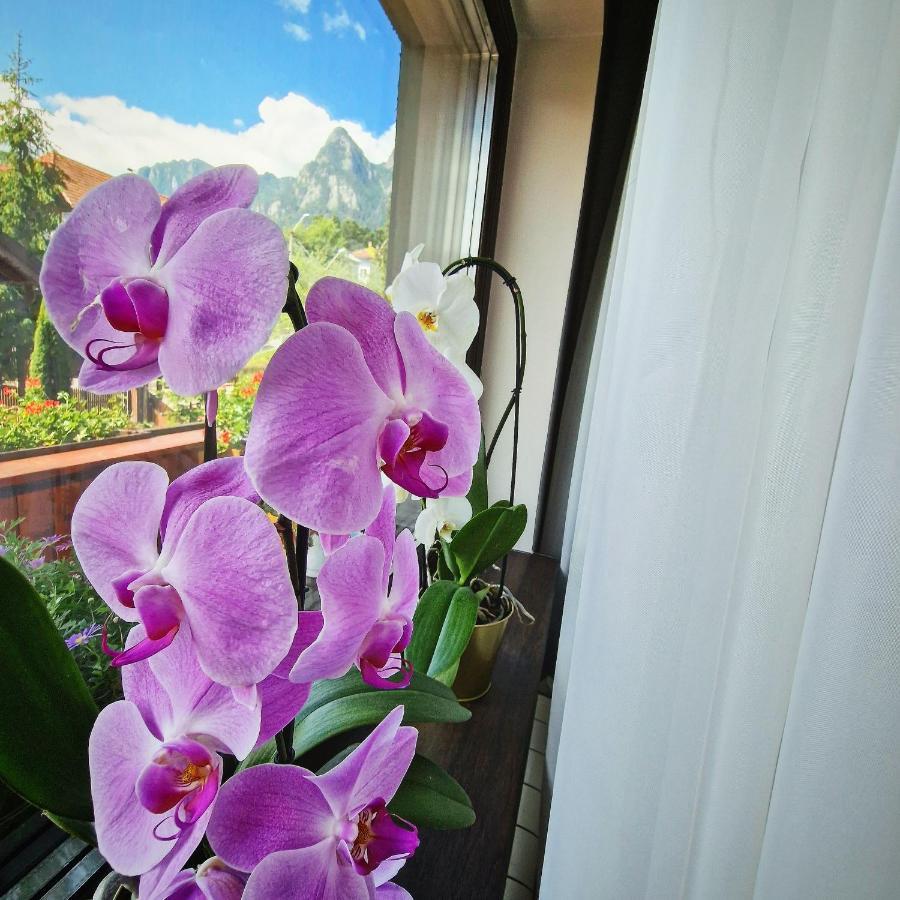 Amor Tirol Busteni (Adults Only) ภายนอก รูปภาพ