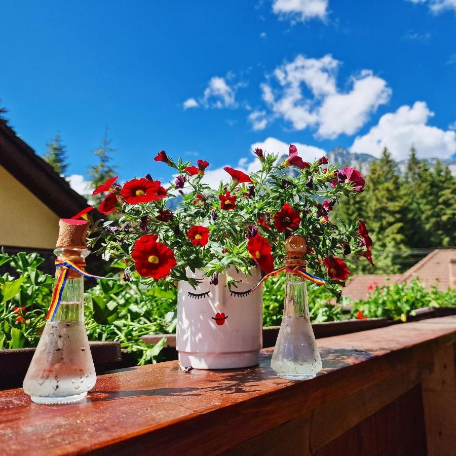 Amor Tirol Busteni (Adults Only) ภายนอก รูปภาพ