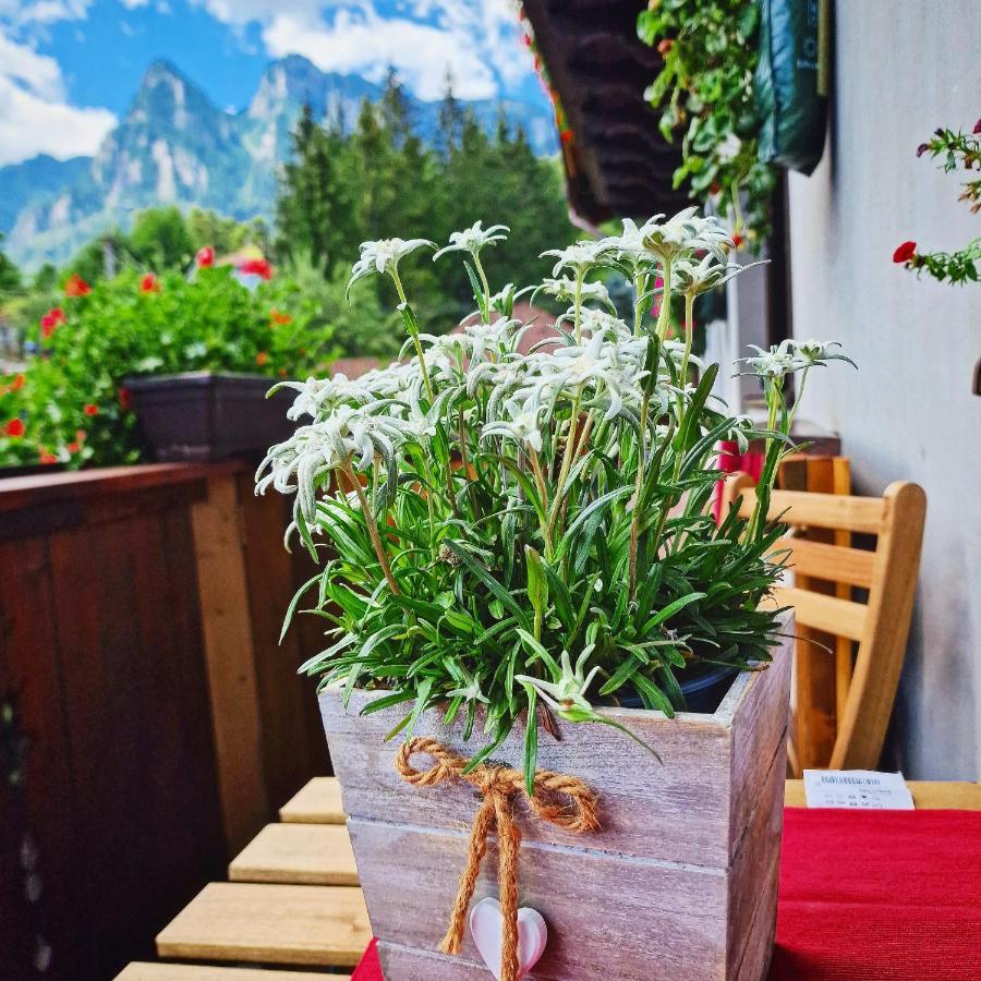 Amor Tirol Busteni (Adults Only) ภายนอก รูปภาพ