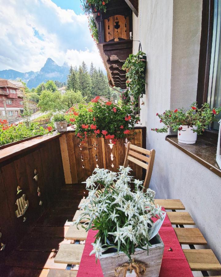 Amor Tirol Busteni (Adults Only) ภายนอก รูปภาพ