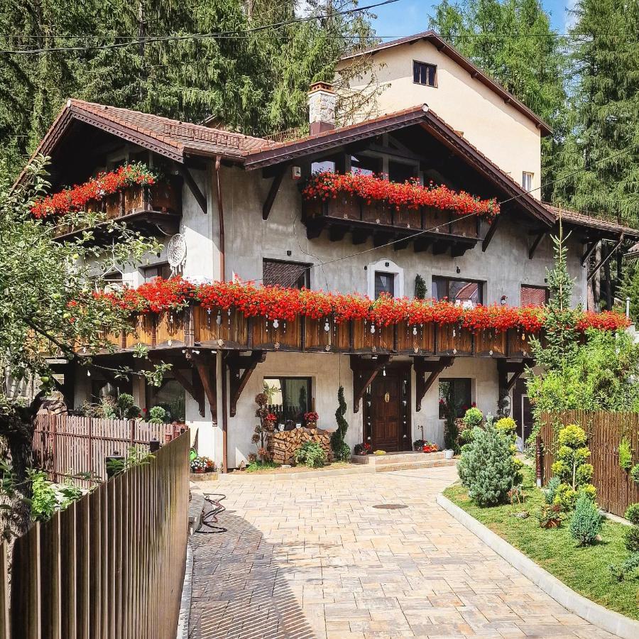 Amor Tirol Busteni (Adults Only) ภายนอก รูปภาพ
