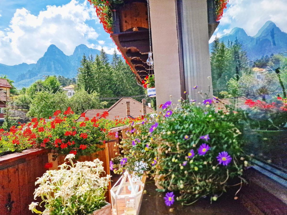 Amor Tirol Busteni (Adults Only) ภายนอก รูปภาพ