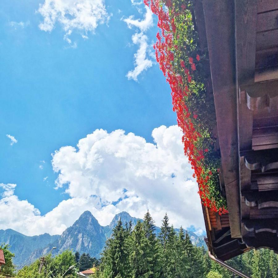 Amor Tirol Busteni (Adults Only) ภายนอก รูปภาพ