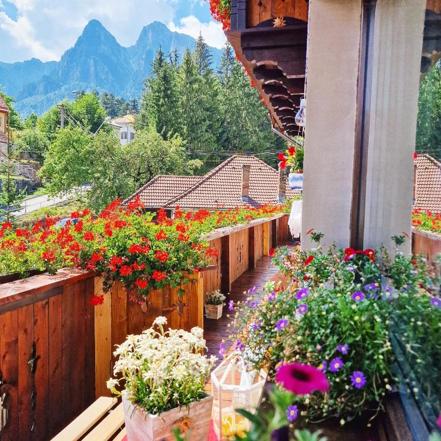 Amor Tirol Busteni (Adults Only) ภายนอก รูปภาพ