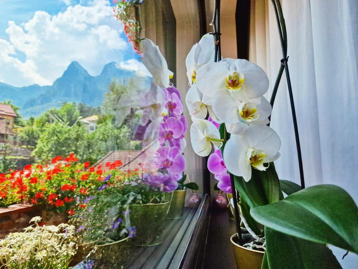 Amor Tirol Busteni (Adults Only) ภายนอก รูปภาพ