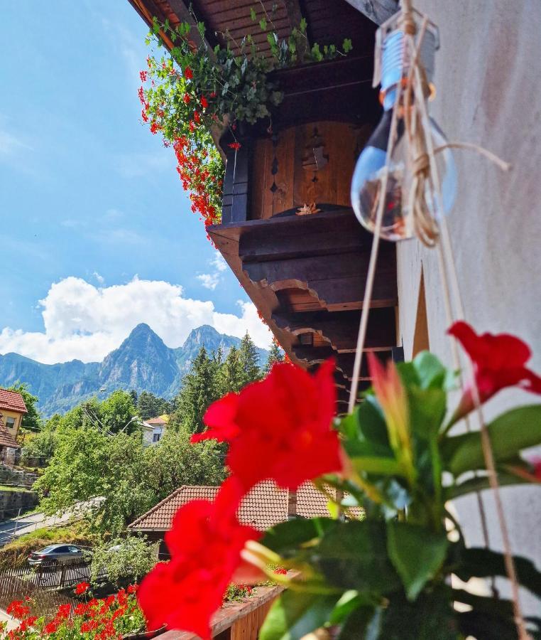 Amor Tirol Busteni (Adults Only) ภายนอก รูปภาพ