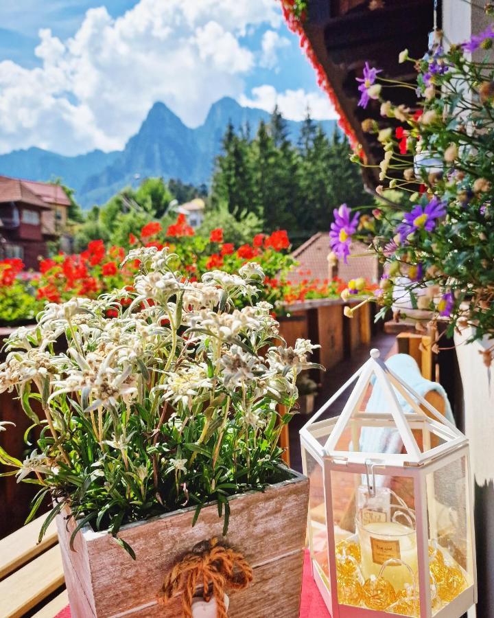 Amor Tirol Busteni (Adults Only) ภายนอก รูปภาพ
