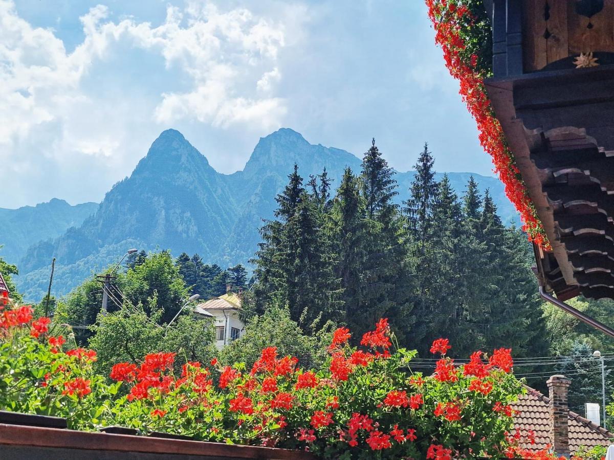 Amor Tirol Busteni (Adults Only) ภายนอก รูปภาพ