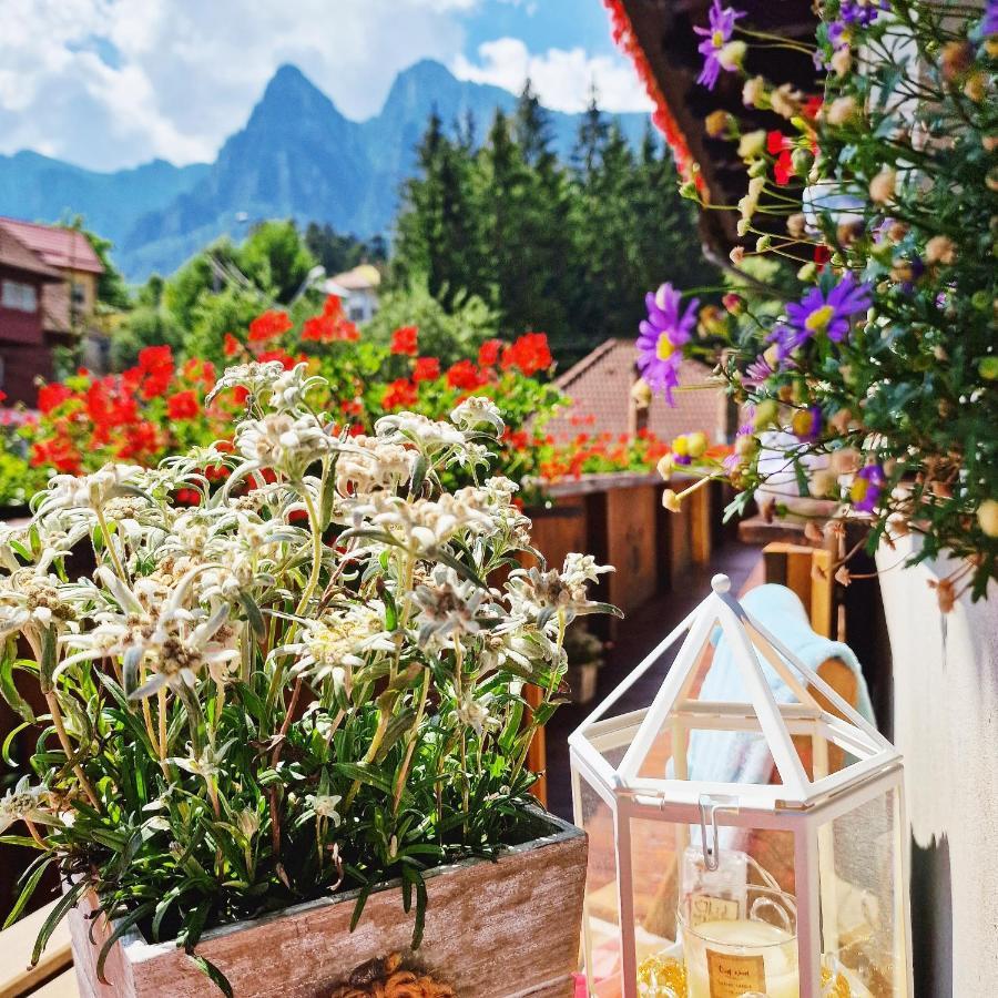 Amor Tirol Busteni (Adults Only) ภายนอก รูปภาพ