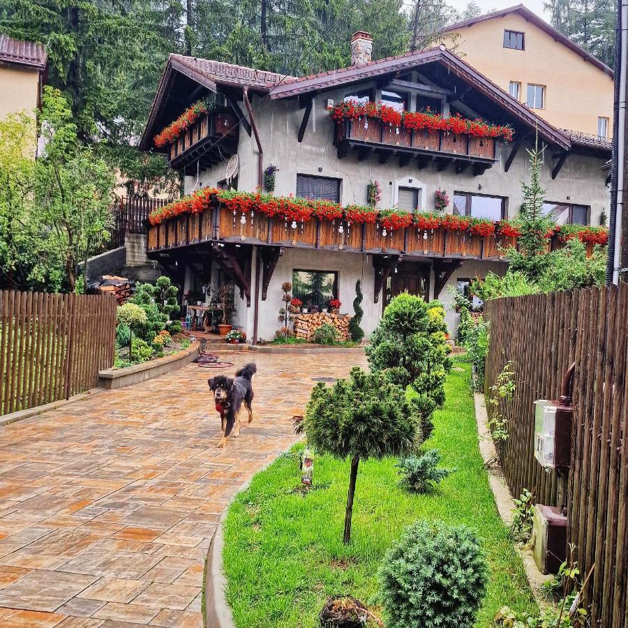 Amor Tirol Busteni (Adults Only) ภายนอก รูปภาพ