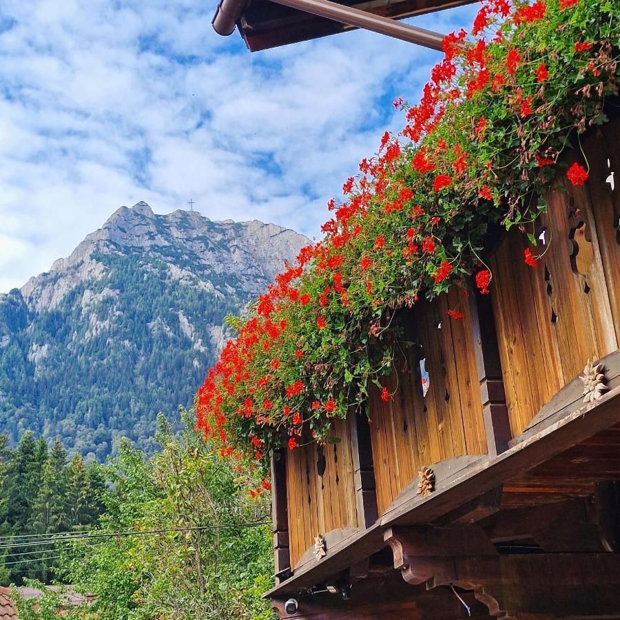 Amor Tirol Busteni (Adults Only) ภายนอก รูปภาพ