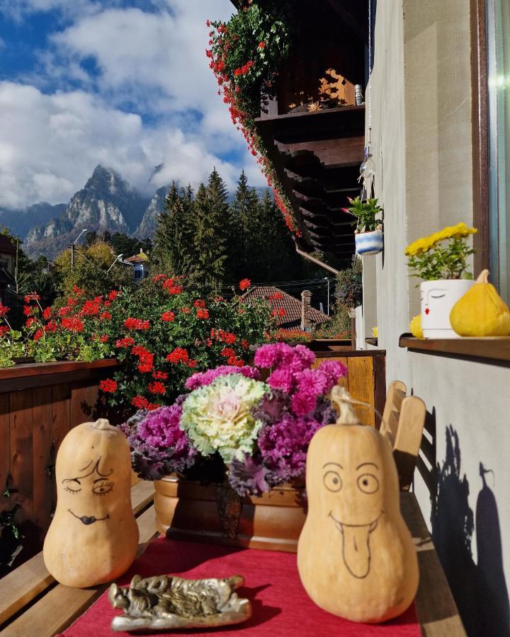 Amor Tirol Busteni (Adults Only) ภายนอก รูปภาพ