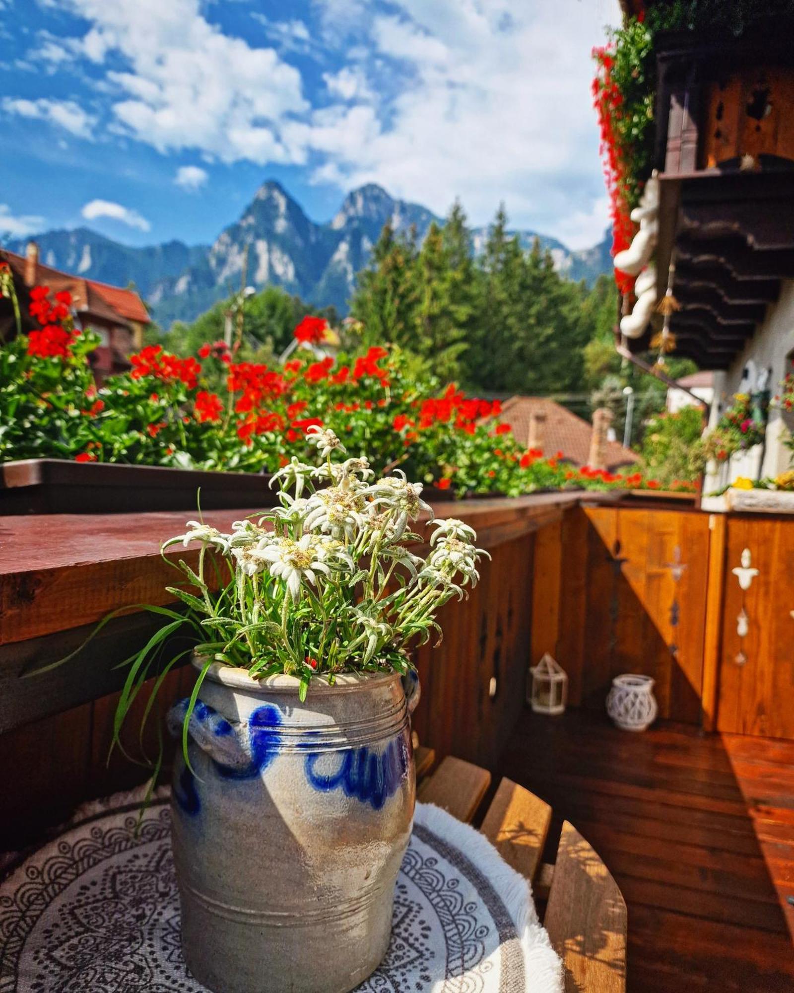 Amor Tirol Busteni (Adults Only) ภายนอก รูปภาพ
